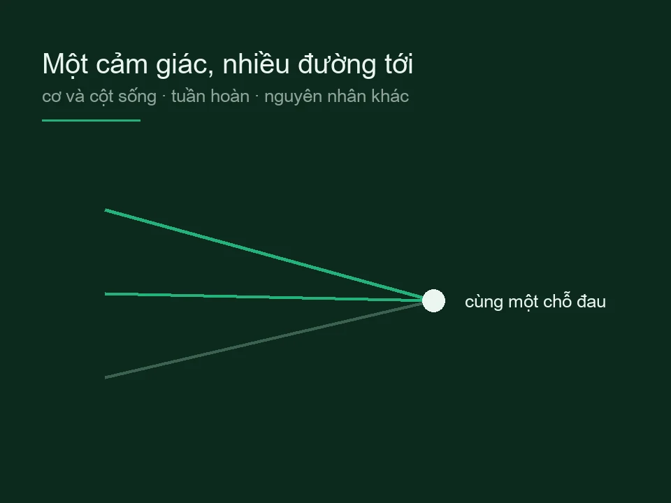 Sơ đồ ba đường khác nhau cùng dẫn tới một điểm